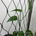 High Tensile Durable Stainless Steel Rope Mesh Green Wall Plants climbing Protection Fence Net